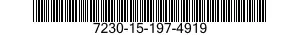 7230-15-197-4919 CURTAIN,WINDOW 7230151974919 151974919