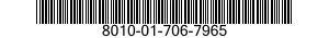 8010-01-706-7965 EPOXY PRIMER COATING KIT 8010017067965 017067965