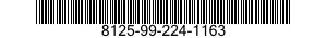 8125-99-224-1163  8125992241163 992241163
