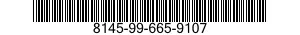 8145-99-665-9107 SHIPPING AND STORAGE CONTAINER,ELECTRIC/ELECTRONIC EQUIPMENT 8145996659107 996659107