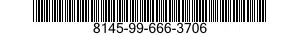 8145-99-666-3706 SHIPPING AND STORAGE CONTAINER,AIRCRAFT STRUCTURAL COMPONENT 8145996663706 996663706