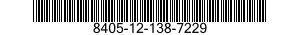 8405-12-138-7229  8405121387229 121387229