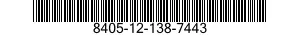 8405-12-138-7443  8405121387443 121387443