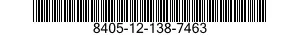 8405-12-138-7463  8405121387463 121387463
