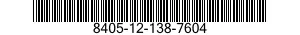 8405-12-138-7604  8405121387604 121387604