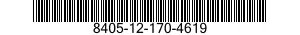 8405-12-170-4619  8405121704619 121704619