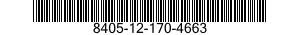 8405-12-170-4663  8405121704663 121704663
