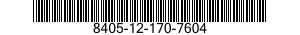 8405-12-170-7604  8405121707604 121707604