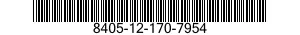 8405-12-170-7954  8405121707954 121707954