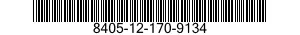 8405-12-170-9134  8405121709134 121709134