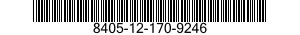 8405-12-170-9246  8405121709246 121709246