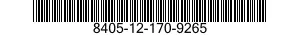 8405-12-170-9265  8405121709265 121709265