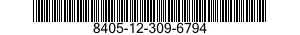 8405-12-309-6794  8405123096794 123096794