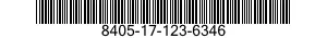 8405-17-123-6346  8405171236346 171236346