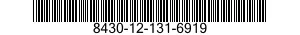 8430-12-131-6919  8430121316919 121316919