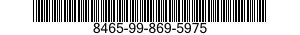 8465-99-869-5975 POLE,SKI 8465998695975 998695975