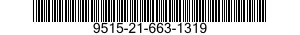 9515-21-663-1319  9515216631319 216631319
