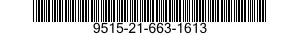 9515-21-663-1613  9515216631613 216631613