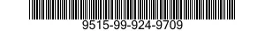 9515-99-924-9709  9515999249709 999249709