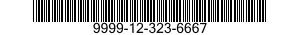 9999-12-323-6667  9999123236667 123236667