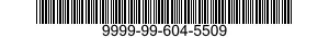9999-99-604-5509  9999996045509 996045509