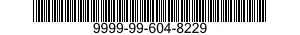 9999-99-604-8229  9999996048229 996048229