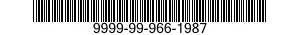 9999-99-966-1987  9999999661987 999661987